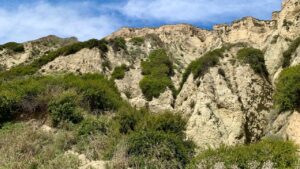 This is a close-up view of the coastal mountains behind the beach. Plants grow on the tops of deeply eroded gullies. 
