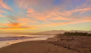 Photo of a sunset at the beach showing water at the shore, a stretch of sand, and dunes with plants. In the background is a pale blue sky and pink clouds.