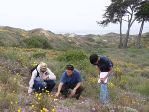 A man and two younger college students sqatting down looking at sand dune plants.