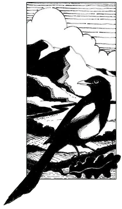 Santa Ynez Valley Natural History Society logo showing a black and white line drawing of a magpie and oak leaf with mountains and a river in the background