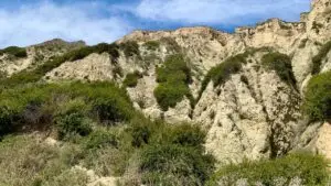 This is a close-up view of the coastal mountains behind the beach. Plants grow on the tops of deeply eroded gullies.